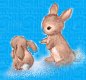 Rabbits