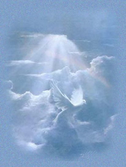 God's Promise