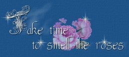 Take time to smell the roses