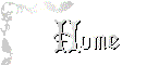 home-xset5jc.gif (1812 bytes)