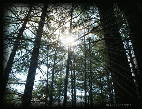 Photo by ACW Graphics