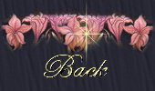 slumberback.jpg - 7341 Bytes