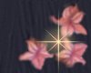 slumberdotrightB.jpg - 2421 Bytes