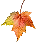 Leaf