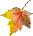 Leaf