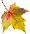 Leaf