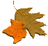 icon1
