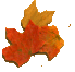 icon2
