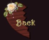 brokenheartback.jpg - 3961 Bytes