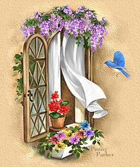 Window