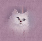 cat icon
