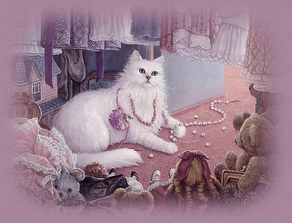 kitten image